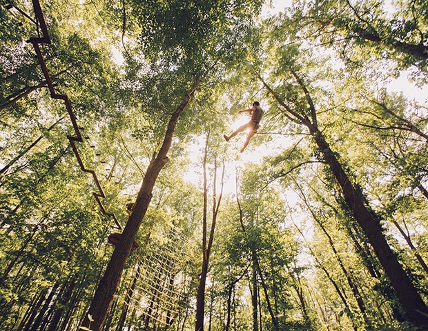 Zipline Adventure Park Near You Virginia Williamsburg