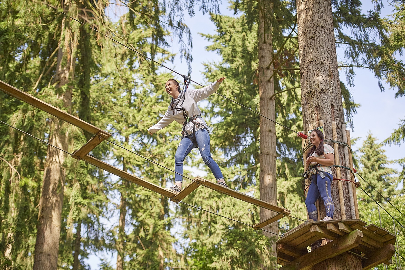 _DSC3554 | Go Ape Zip Line & Treetop Adventure