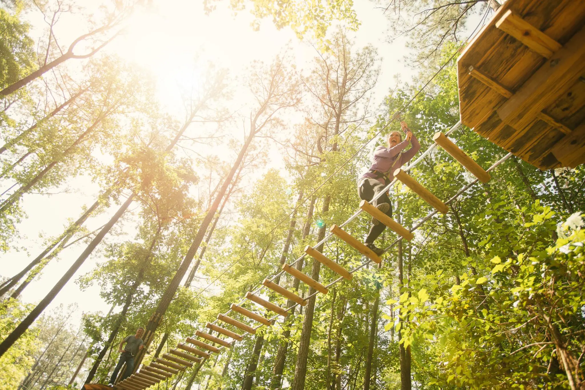 Zipline Adventure Park Near You Delaware Bear