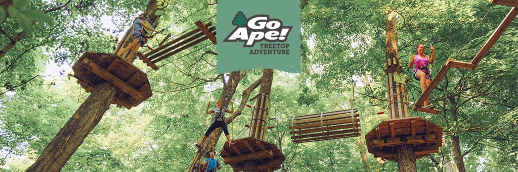 Go Ape | Book Your Zipline & Treetop Adventure Experience Today