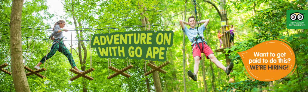 Go Ape Book Your Zipline And Treetop Adventure Experience Today